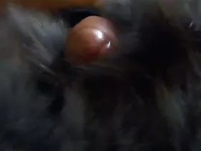 কৃষক boobs সঙ্গে Pus ...