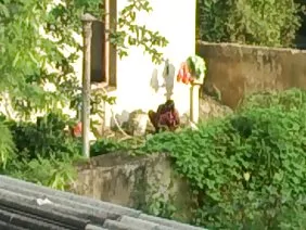 প্রাপ্তবয়স্ক chpoka ...
